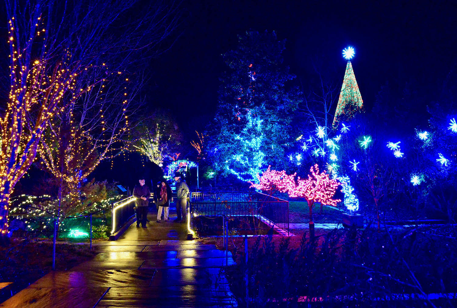 Walkway on misty night